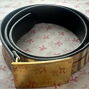 Black and Gold Belt